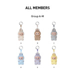 Load image into Gallery viewer, Pop Mart Labubu The Monsters Pin for Love Series Vinyl Plush Pendant (A-M) SINGLE Blind Box