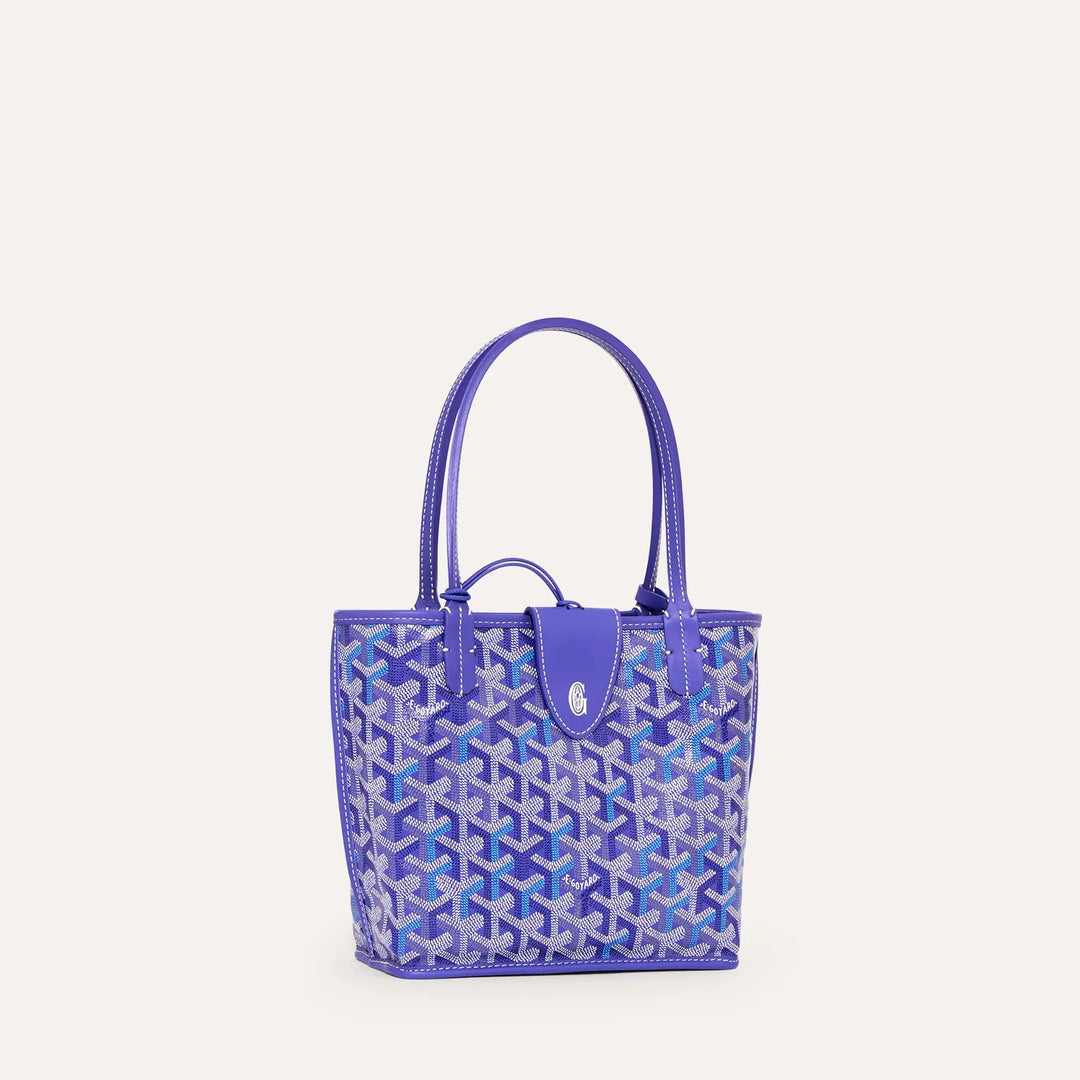 Goyard Anjou Mini Bag Multicoloured