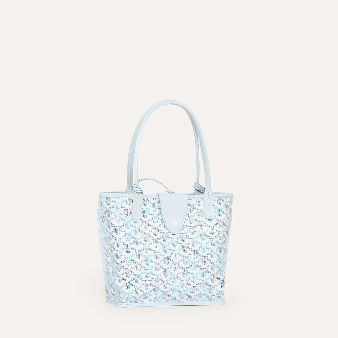 Goyard Anjou Mini Bag Multicoloured
