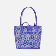 Goyard Anjou Mini Bag Multicoloured