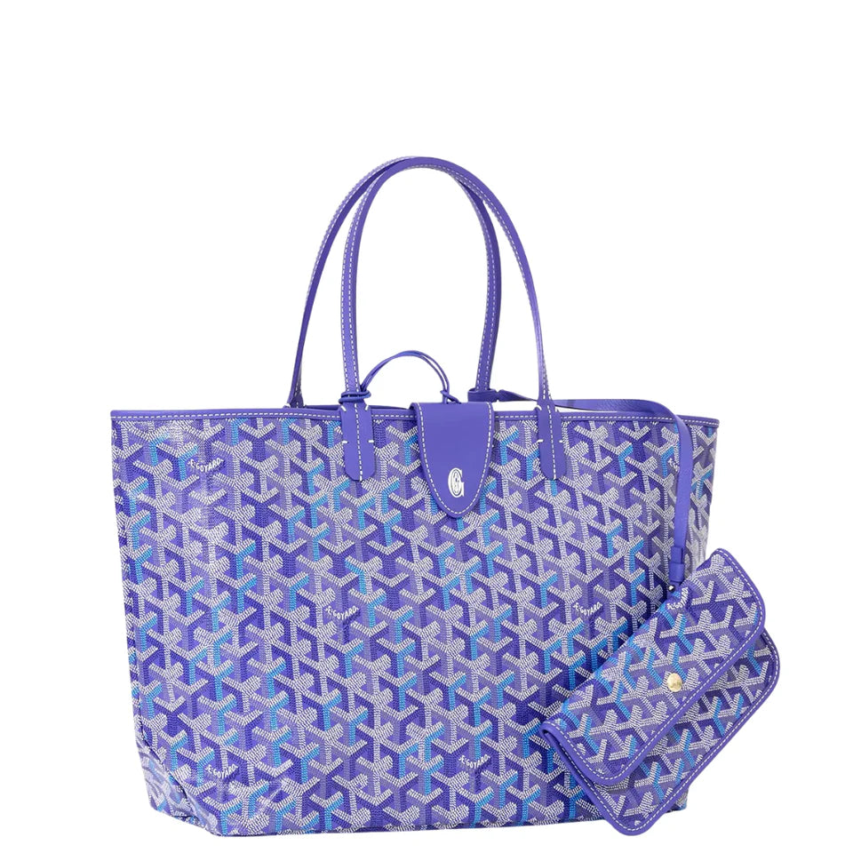 Goyard Saint Louis PM Bag Mulitcoloured